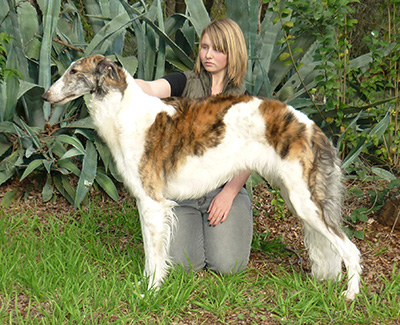 Top Junior Handler 2010